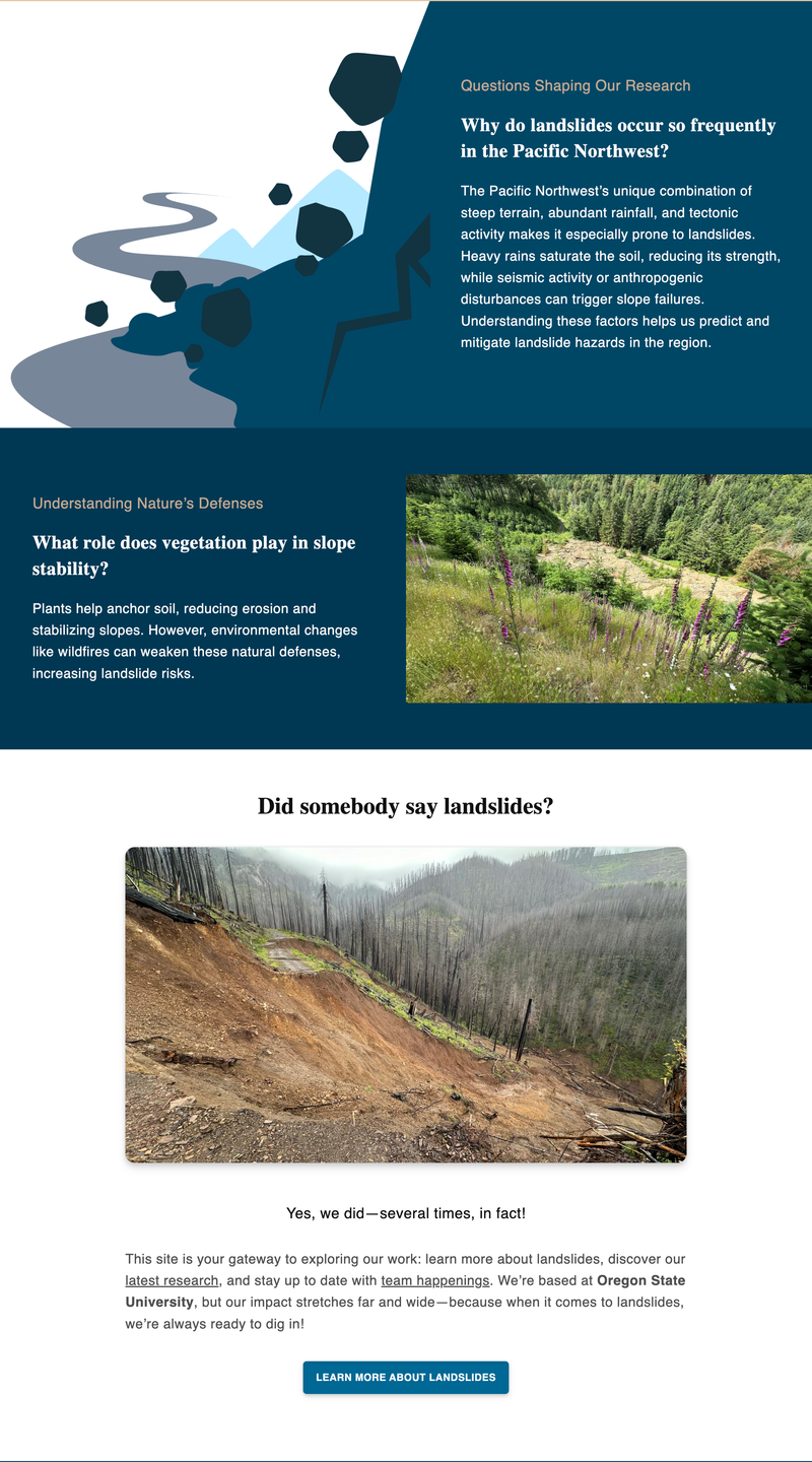 Website Section 2